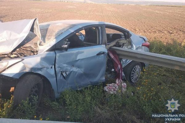 Спасая собаку, убила своего ребенка: подробности жуткой аварии под Одессой (фото)