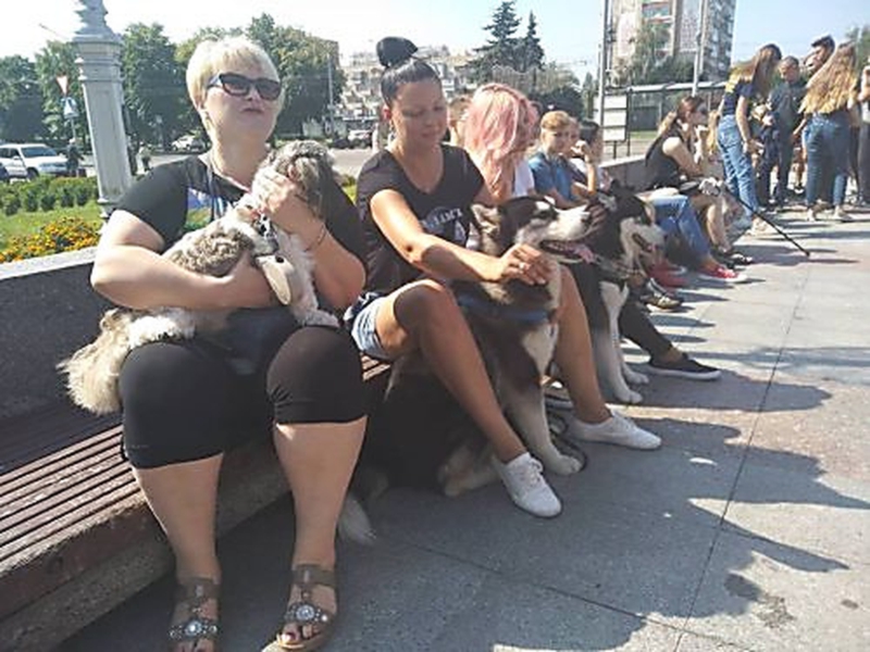 В городах Украины устроили акции против умерщвления животных (фото, видео)