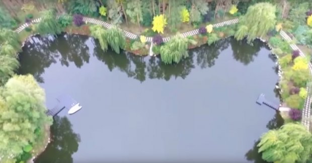 Елітний котедж та озеро у формі серця: яку нерухомість приховує комуніст Симоненко