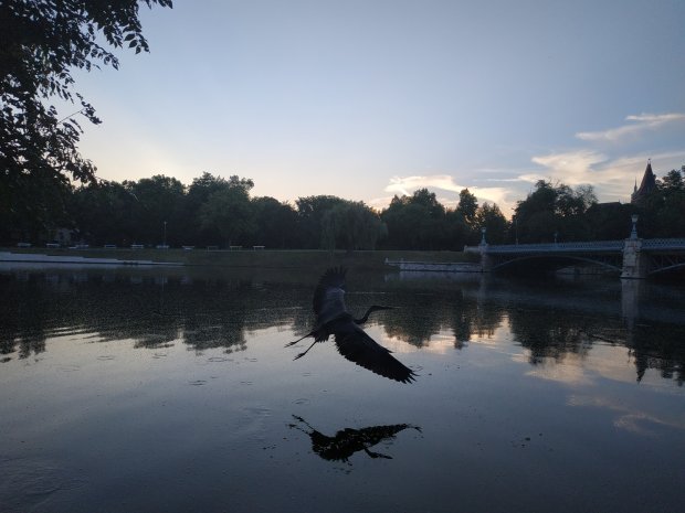 Горшок в дирє і йожик под діваном: практичні поради туристу, як перетравити Будапешт