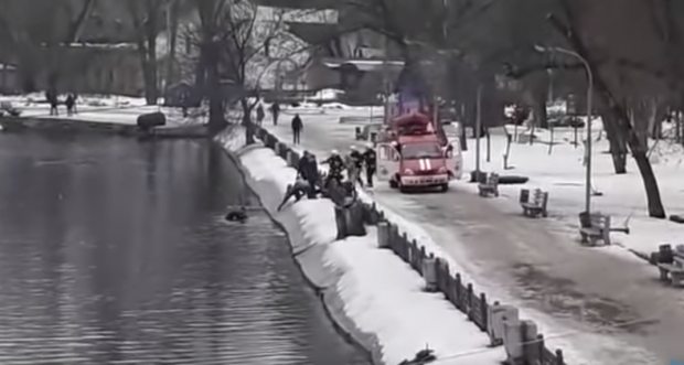 Хлопець пірнув у крижану воду, щоб врятувати собаку у Дніпрі: відео