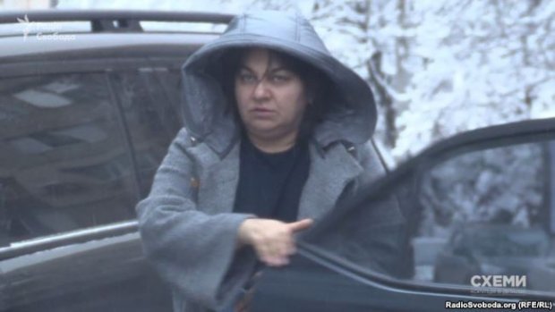 Керівники Академії аграрних наук зухвало розграбовують державну землю: резонансне розслідування