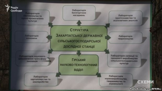 Керівники Академії аграрних наук зухвало розграбовують державну землю: резонансне розслідування
