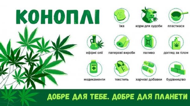 Коноплі в агрокультурі України і світу: історичний екскурс та сучасність