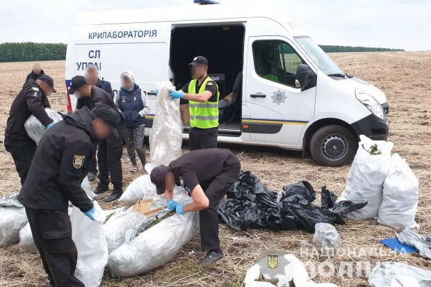 На Луганщині 150 кілограмів марихуани поліцейські знайшли просто неба: фото