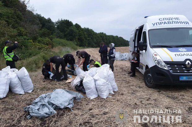 На Луганщині 150 кілограмів марихуани поліцейські знайшли просто неба: фото