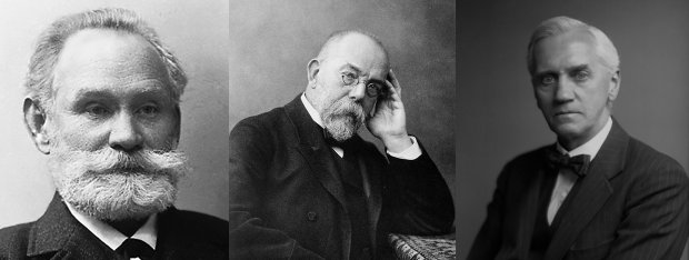 Нобелівська премія як вибачення за динаміт: кому і за що дістаються мільйони доларів