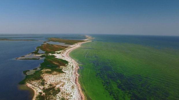 Подорожі Україною: неймовірні місця Херсонщини, які вражають красою