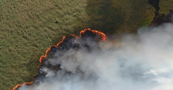 У Сибирі в Росії горять мільйони гектарів лісу: їх не гасять через економію – фото, відео