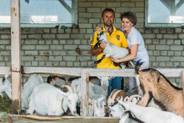 Ваші сири кращі, ніж у Франції, – у чому успіх крафтових сироварень та козячих ферм України