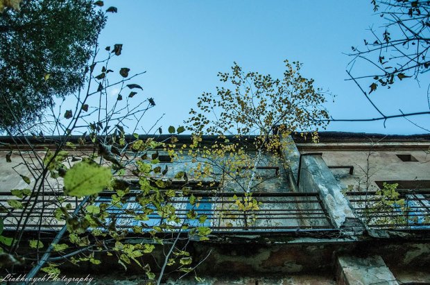 Замкнений світ Професорської колонії: винятковий житловий масив Львова