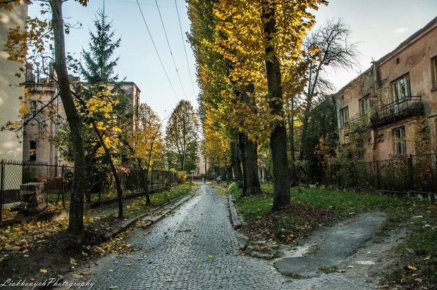 Замкнений світ Професорської колонії: винятковий житловий масив Львова