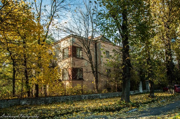 Замкнений світ Професорської колонії: винятковий житловий масив Львова