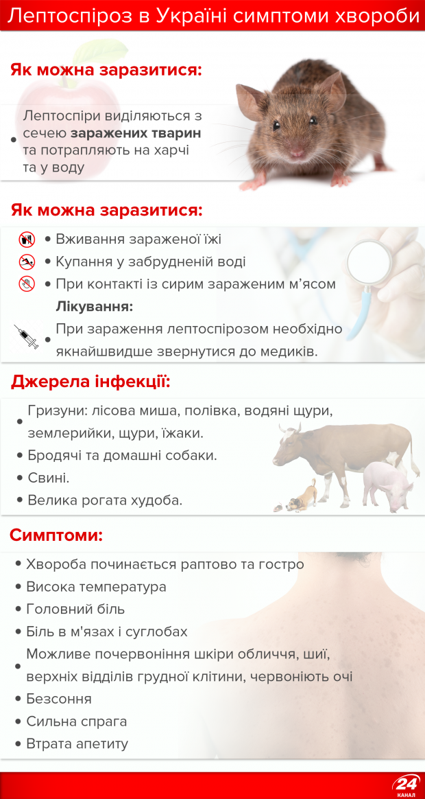 Жінка потрапила до реанімації після вживання немитого яблука