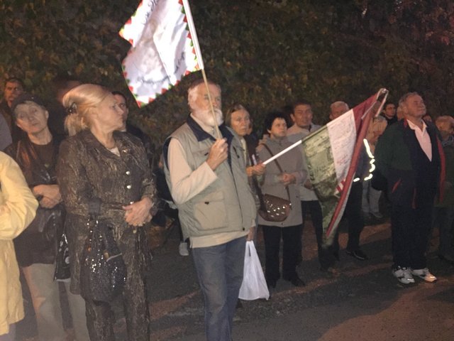 Акция по самоопределению Закарпатья в Будапеште: Было около 150 человек, продлилась примерно час