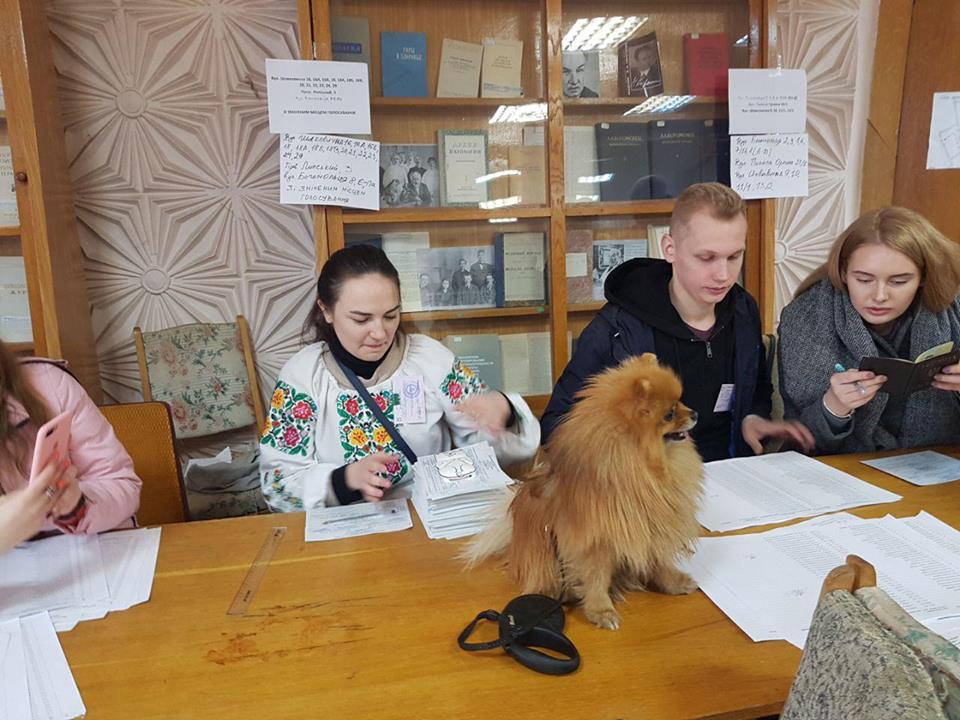 Голосовали четырьмя лапами: украинцы приходили на участки с котами и собаками (ФОТО)
