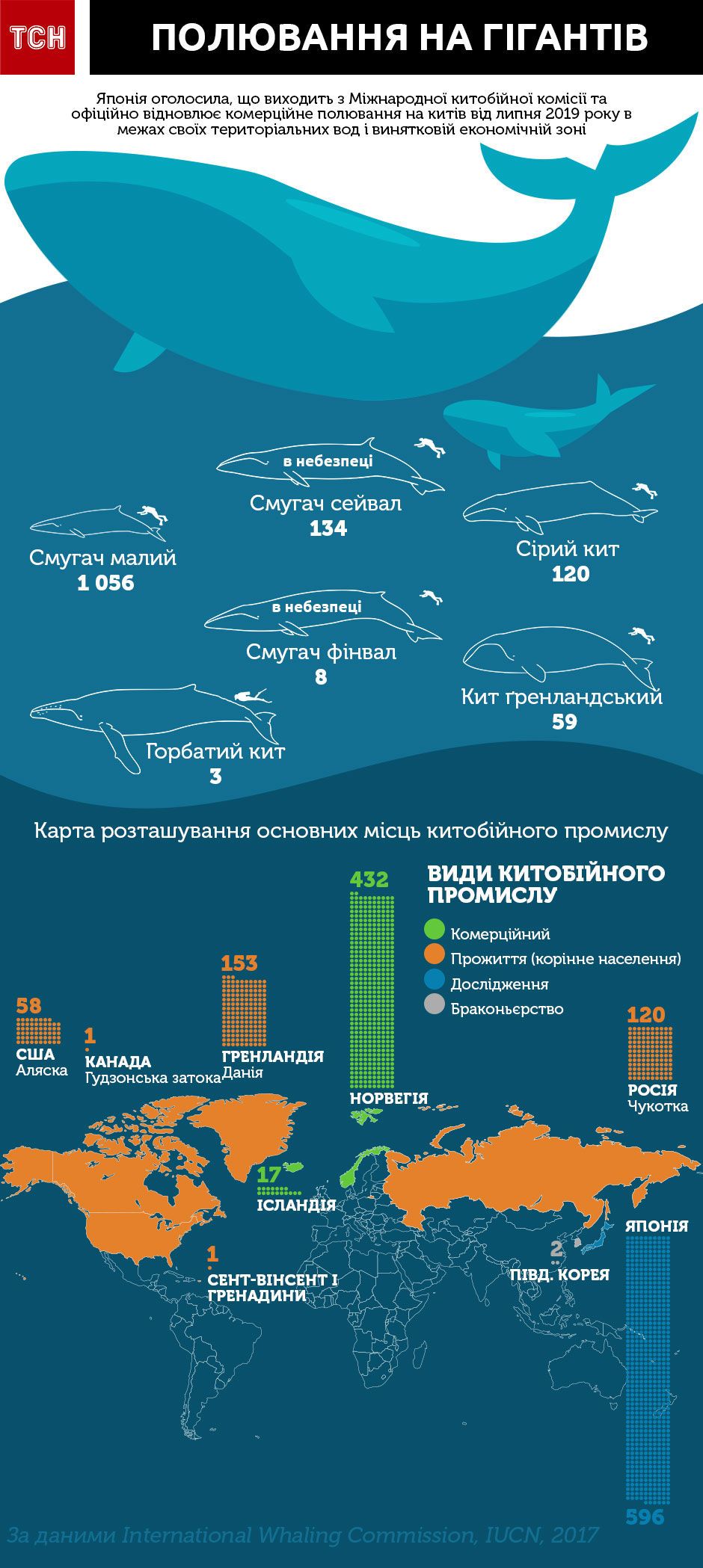 Какие страны охотятся на китов и угрожают их популяции. Инфографика