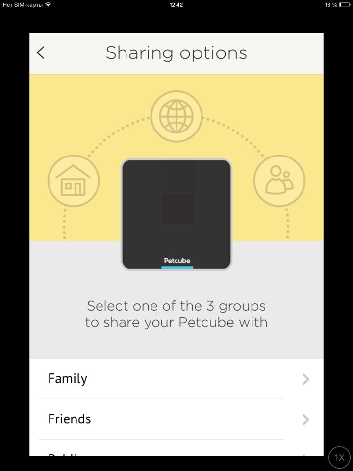 Обзор Petcube: игрушка не для животных, а для людей