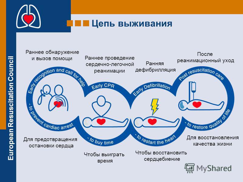 Остановилось сердце: как спасти человека, у которого случился сердечный приступ