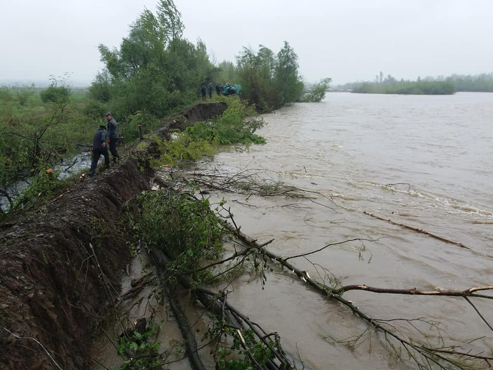 Паводок на Буковине: угроза прорыва дамбы возникла на реке Черемош (ФОТО, ВИДЕО)