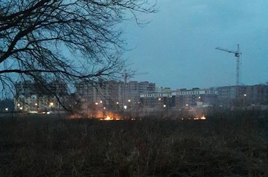 Под Киевом горят торфяники