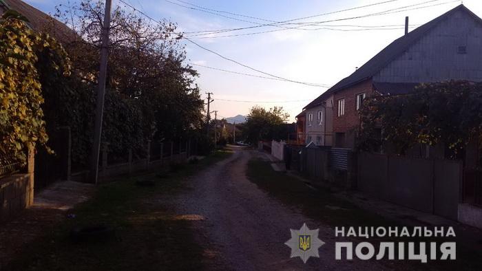 Пытались отключить дом от света: В Закарпатской обл. мужчина из ружья стрелял в электриков