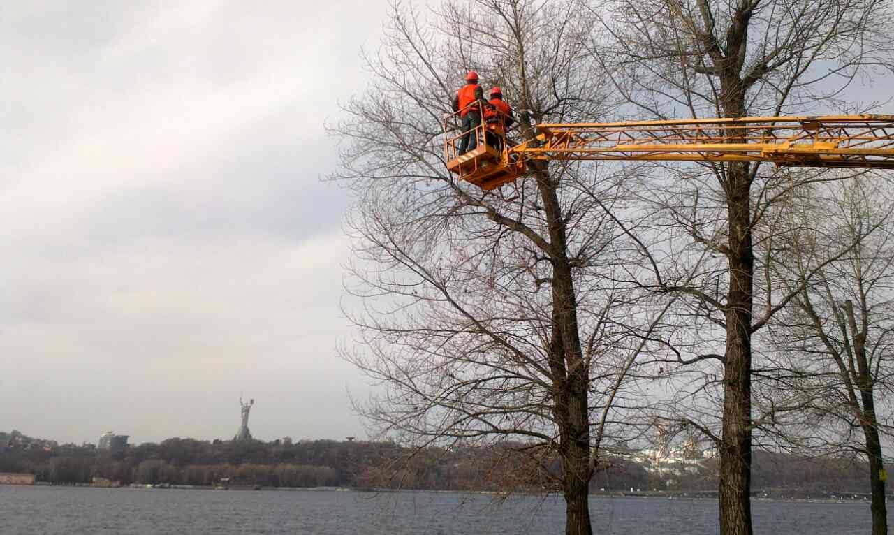 С деревьев на киевских пляжах начали срезать опасные сухие ветки