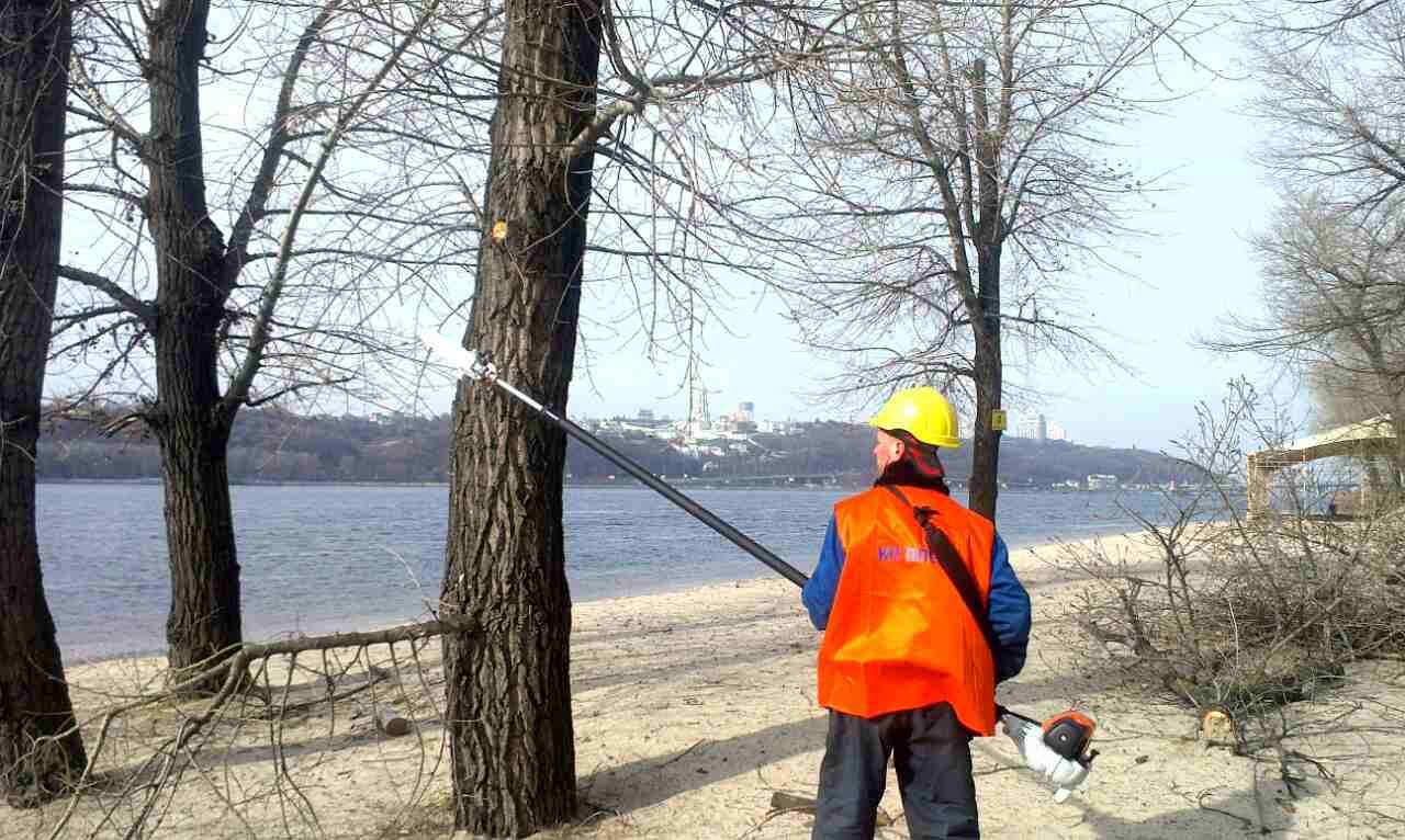 С деревьев на киевских пляжах начали срезать опасные сухие ветки