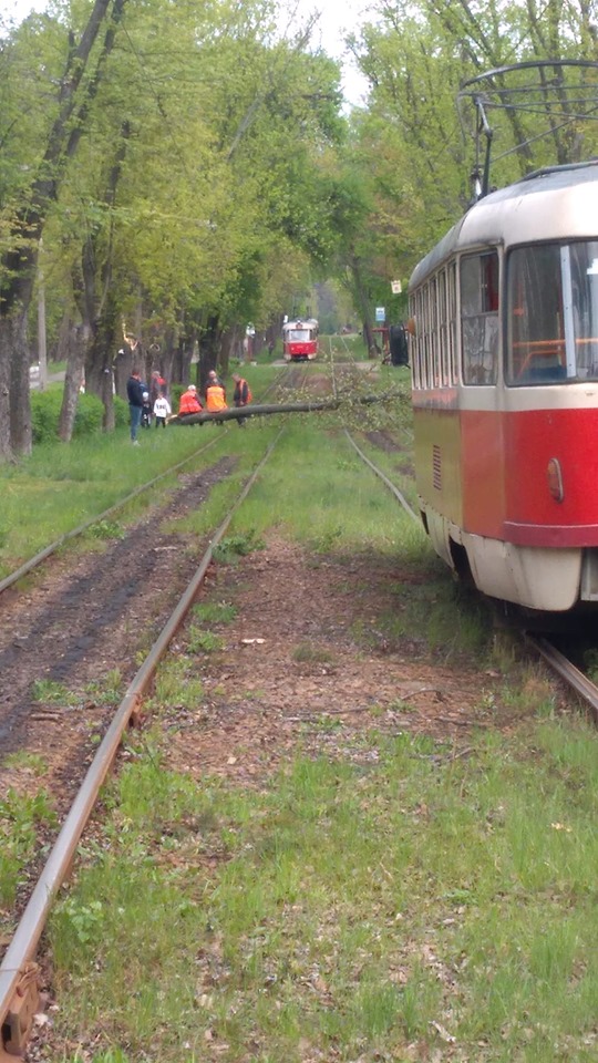 Шторм в Киеве: в сети публикуют фото и видео последствий непогоды
