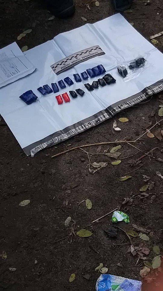 В Луганской области задержали двух женщин, которые через интернет сбывали наркотики