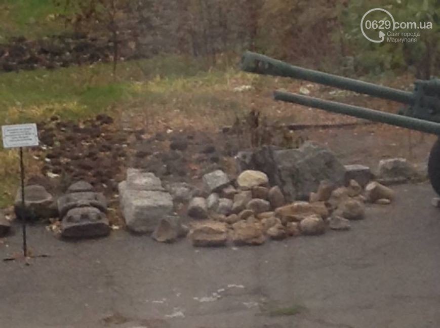 В Мариуполе нашли останки южного слона, которым не меньше миллиона лет