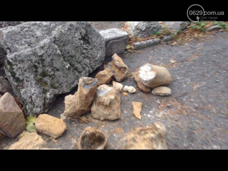 В Мариуполе нашли останки южного слона, которым не меньше миллиона лет