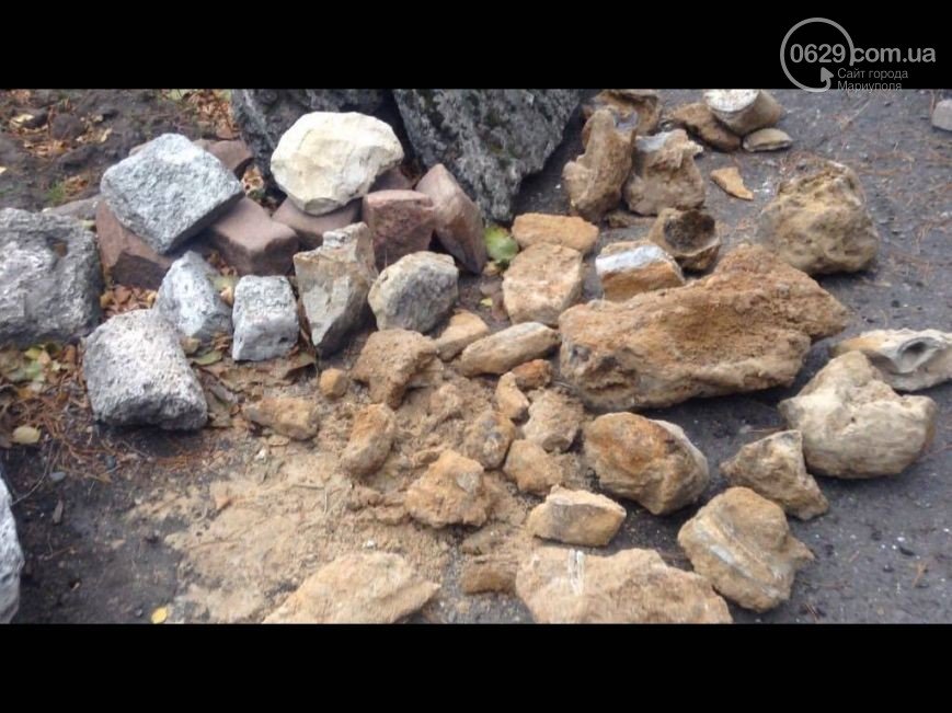 В Мариуполе нашли останки южного слона, которым не меньше миллиона лет