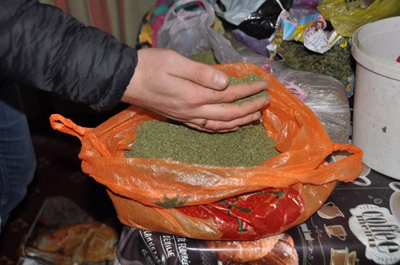 В Николаевской обл. изъяли конопли почти на 300 тыс. грн