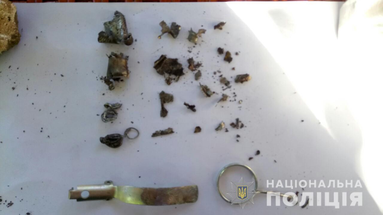В Одесской области неизвестный бросил гранату во двор частного дома