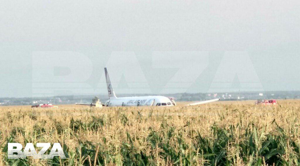 В РФ самолет с 234 пассажирами на борту совершил аварийную посадку на кукурузном поле, есть пострадавшие