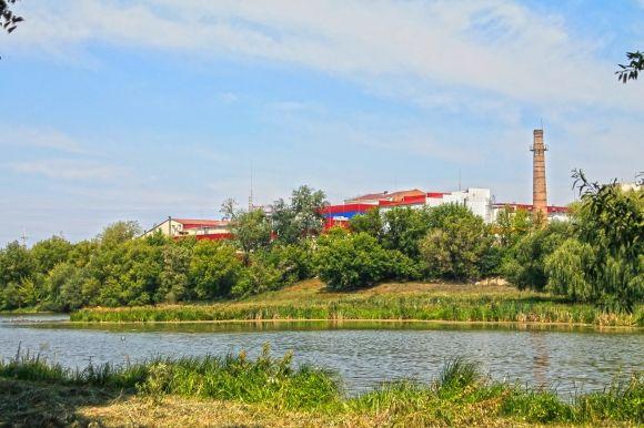 В Житомирской области массово гибнет рыба, - СМИ