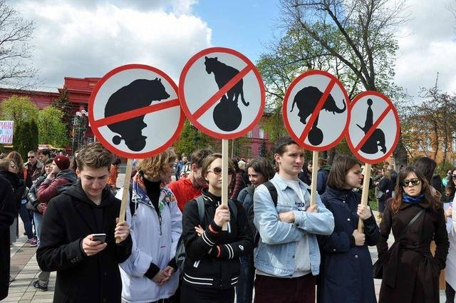 Веселье, основанное на пытках: Почему весь мир отказывается от цирковых представлений с участием животных