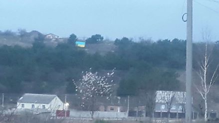 В аннексированном Крыму над мечетью вывесили украинский флаг