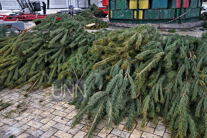 В центре Киева начали устанавливать главную новогоднюю елку Украины
