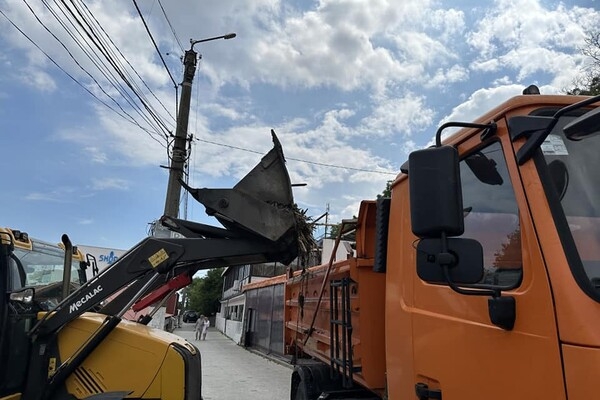 Жабы и бревна: на пляжах Одессы начали убирать мусор
