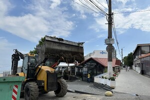 Жабы и бревна: на пляжах Одессы начали убирать мусор