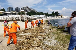 Жабы и бревна: на пляжах Одессы начали убирать мусор