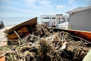 Жабы и бревна: на пляжах Одессы начали убирать мусор
