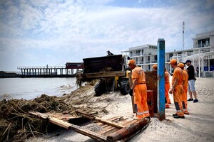 Жабы и бревна: на пляжах Одессы начали убирать мусор
