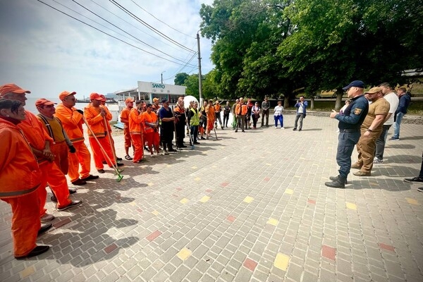 Жабы и бревна: на пляжах Одессы начали убирать мусор