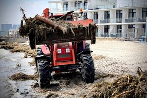 Жабы и бревна: на пляжах Одессы начали убирать мусор