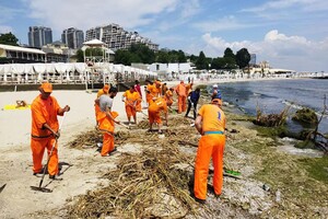 Жабы и бревна: на пляжах Одессы начали убирать мусор
