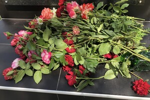 В Одесской области освятили мемориальную доску в честь погибшего воина