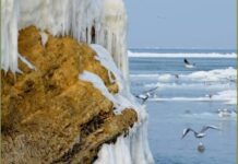 Морозы до -15 °С: какая погода будет в Одессе в эти выходные